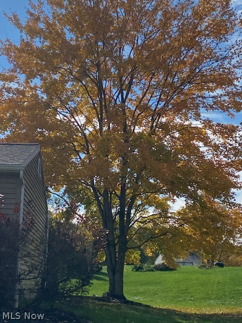 4484 Sunnyview Drive photo 24