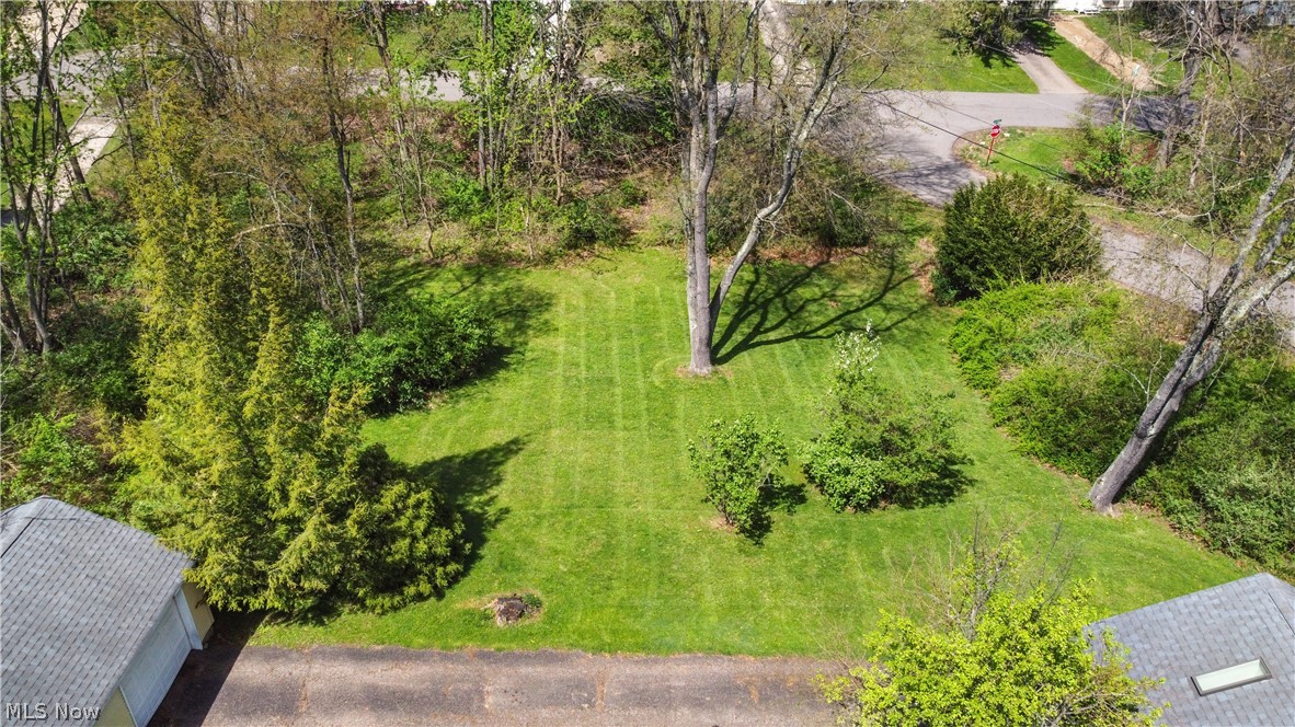 455 Montrose Avenue NW photo 6