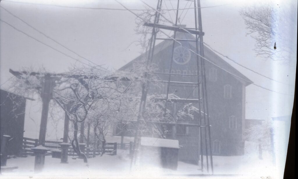 The barn behind the grape arbor
