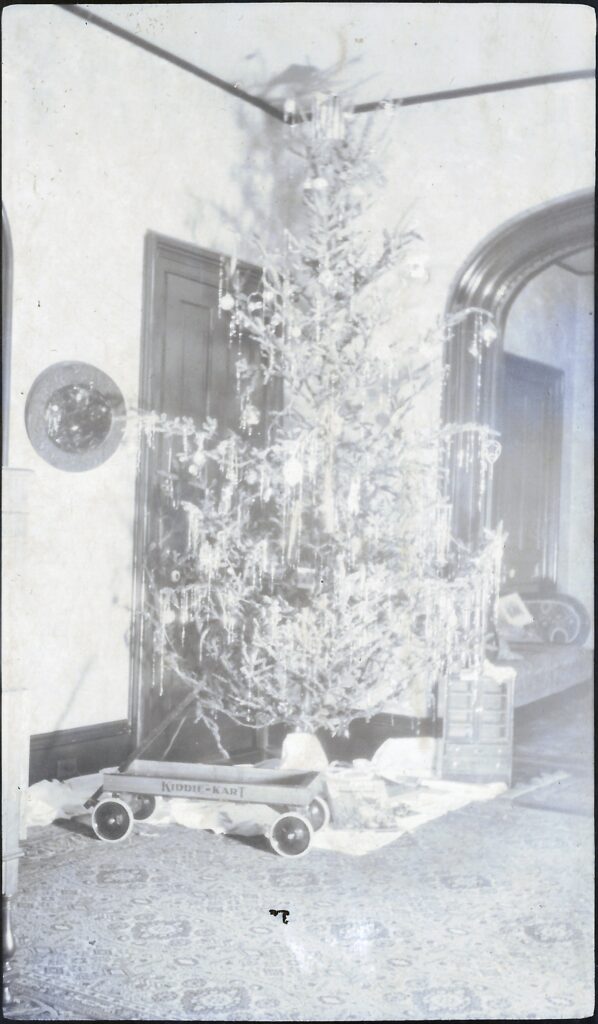 The tree beside the doorway