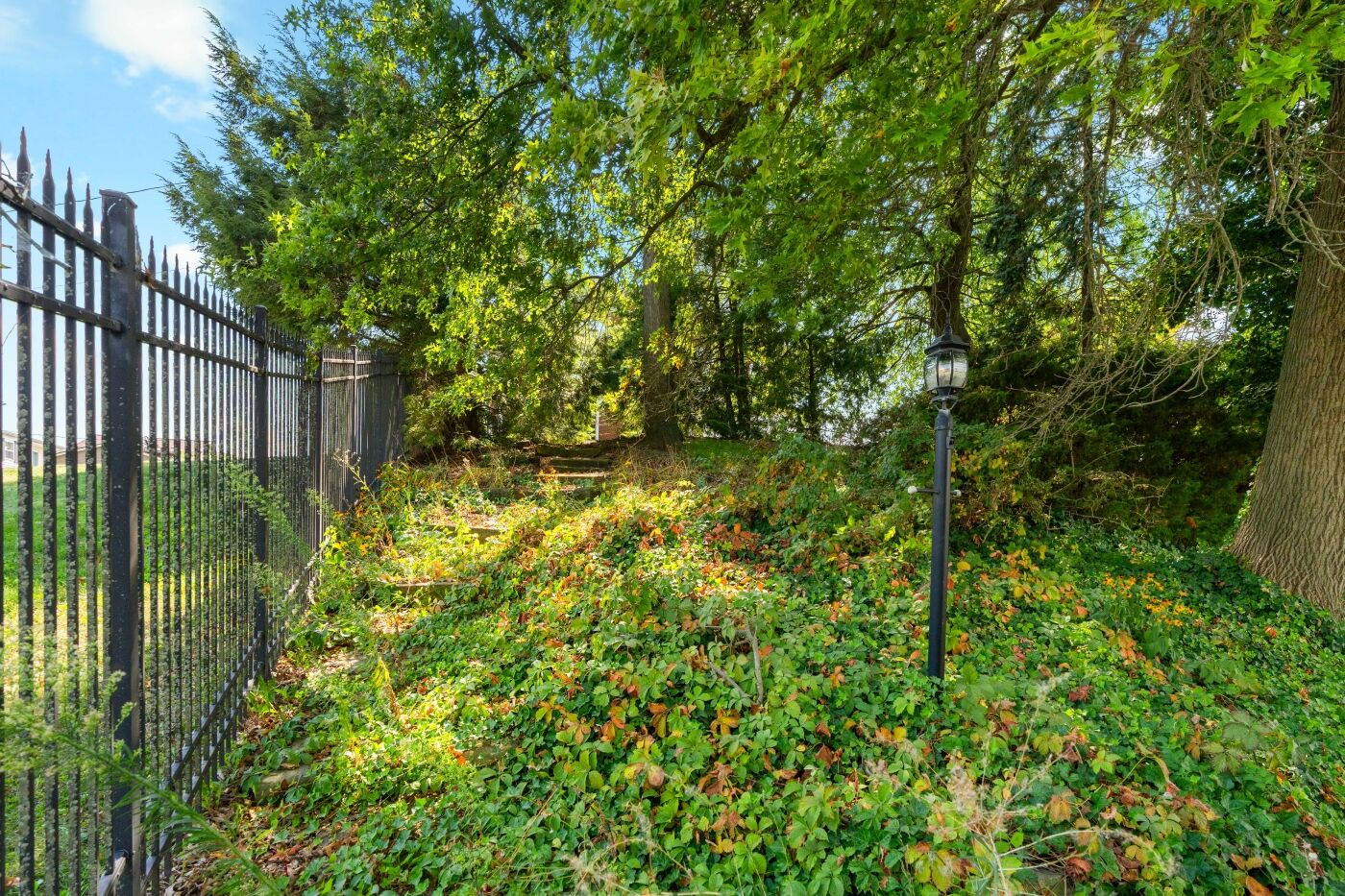 Iron fence and garden bed
