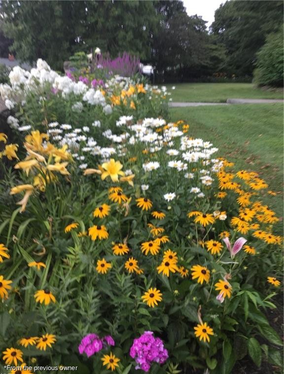 Black-eyed Susans and phlox