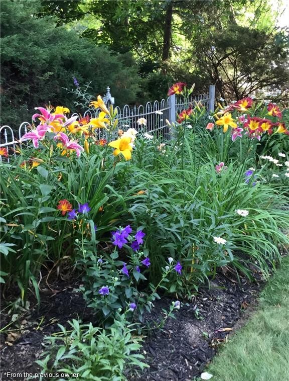 Lilies by the iron fence