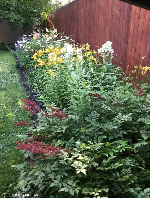 Perennial border along the back fence