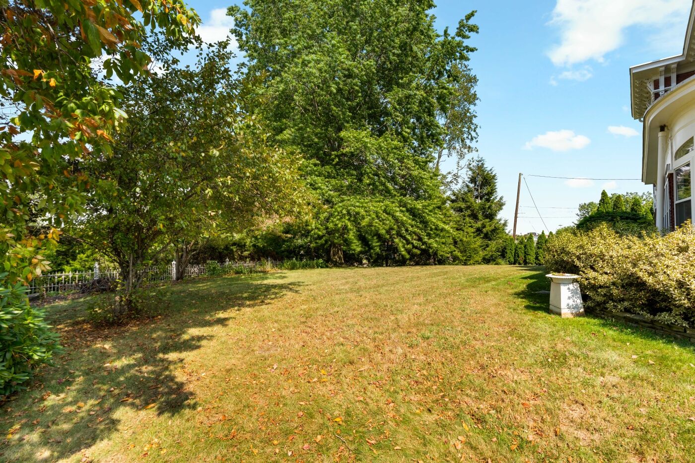 The side lawn